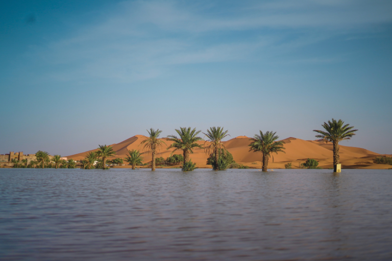 Water gushes through sand dunes after a rare rainfall in Moroccan Sahara desert 