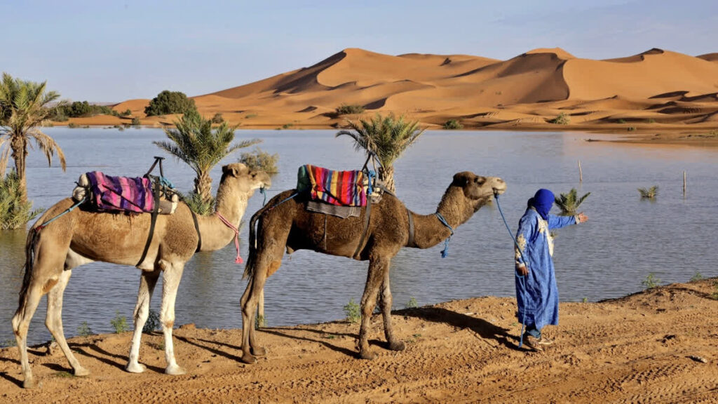 Water gushes through sand dunes after a rare rainfall in Moroccan Sahara desert 